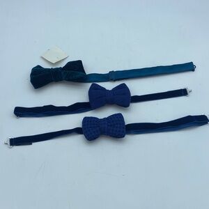 Unisex Elegant Blue Bow Tie Set